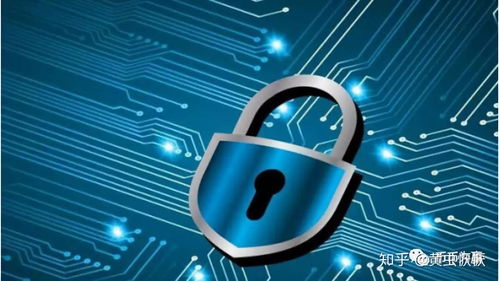 駝峰，儲的不止是水 網絡與信息安全軟件開發(fā)的戰(zhàn)略思考